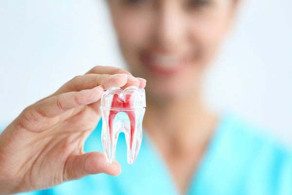 Can Soft Tissue And Bone Heal From Gum Disease?